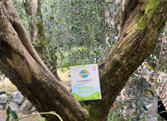 78b13e37-206b-49cb-9c43-c6e87e673e49 Waarom Wasmiddel strips het Milieuvriendelijke Alternatief zijn voor Traditionele Wasmiddelen